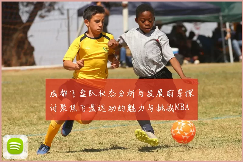 成都飞盘队状态分析与发展前景探讨聚焦飞盘运动的魅力与挑战MBA