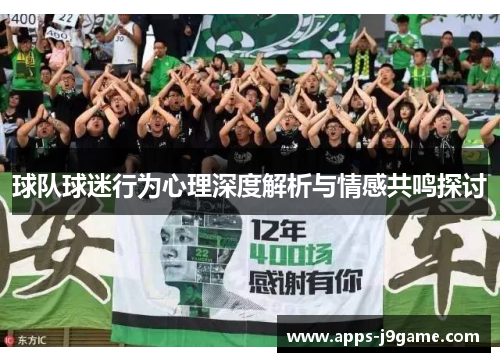 球队球迷行为心理深度解析与情感共鸣探讨