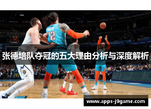 张德培队夺冠的五大理由分析与深度解析