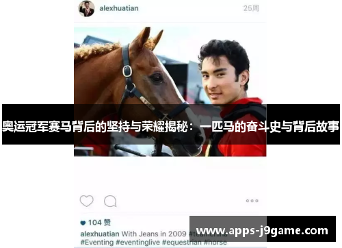 奥运冠军赛马背后的坚持与荣耀揭秘：一匹马的奋斗史与背后故事